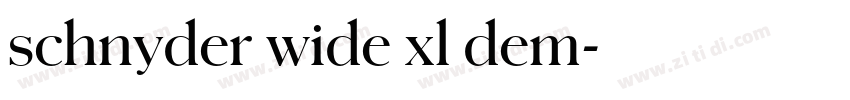 schnyder wide xl dem字体转换